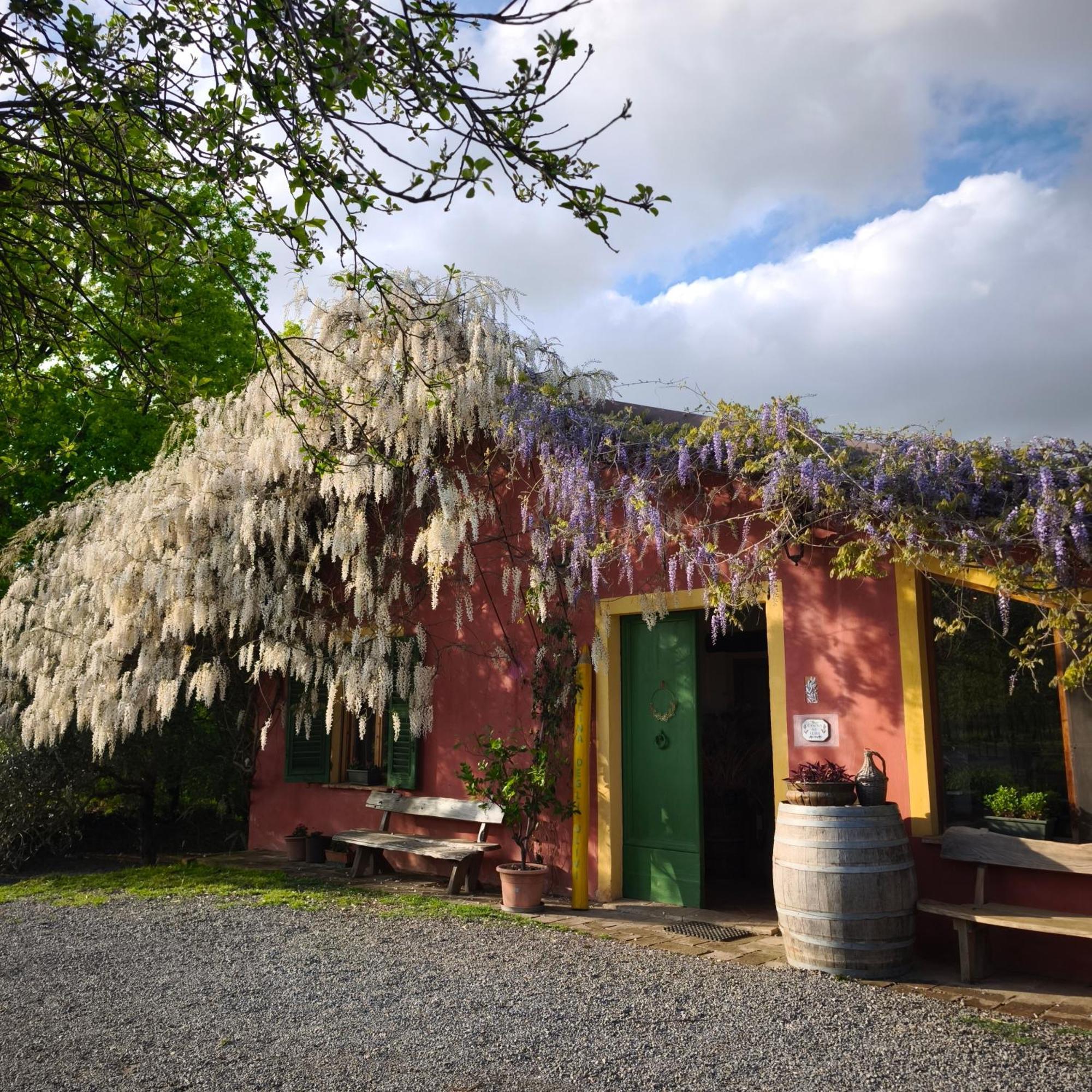 Agriturismo Cascina Degli Ulivi Novi Ligure Exterior foto